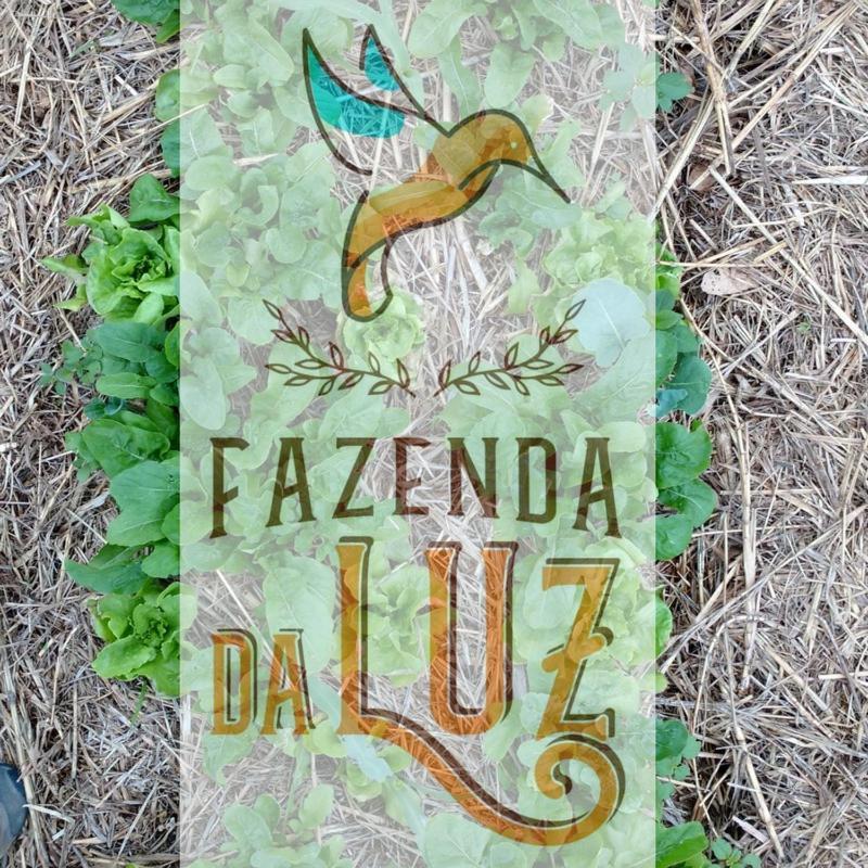 瓦索拉斯Fazenda Da Luz别墅 外观 照片