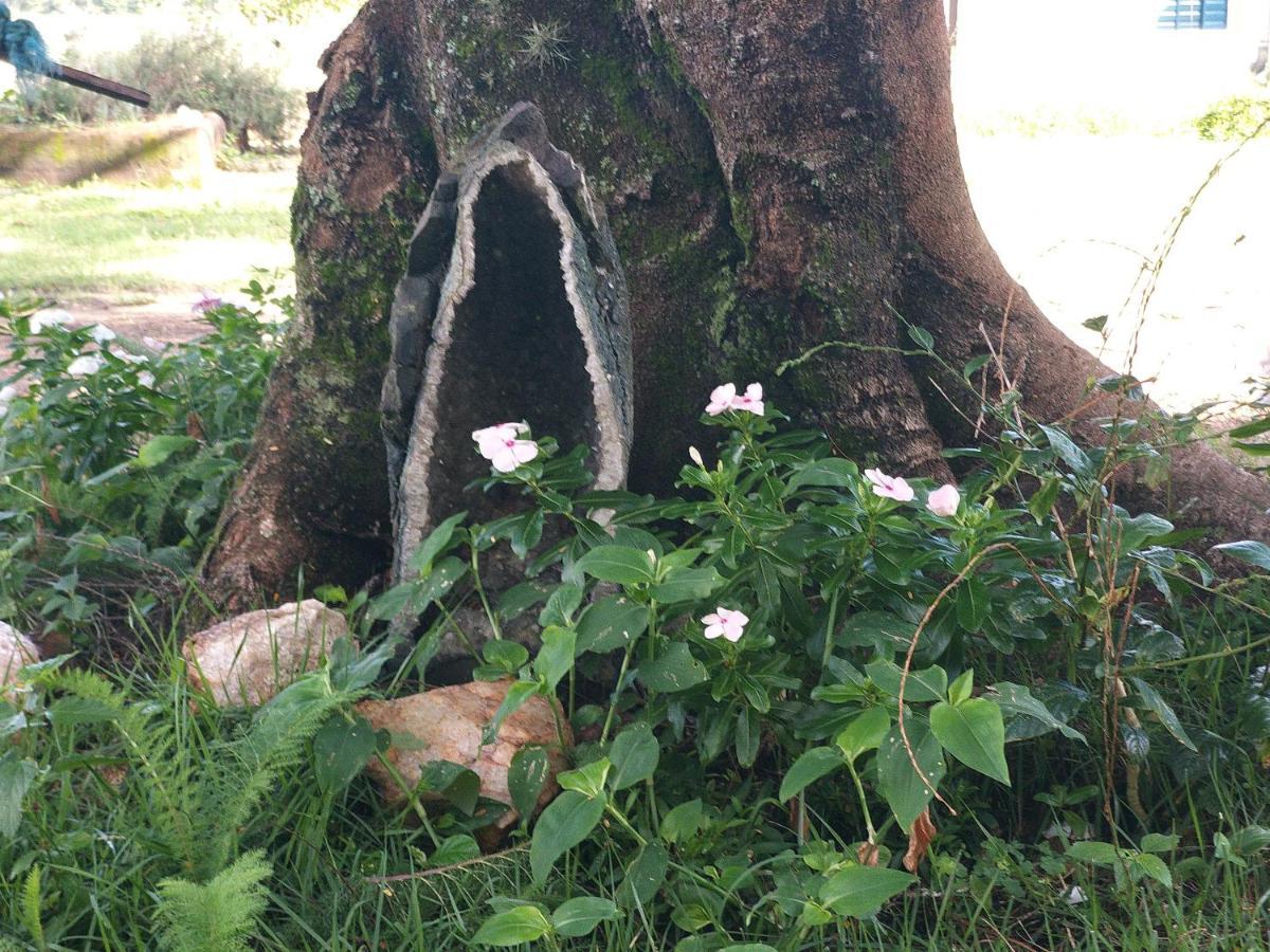 瓦索拉斯Fazenda Da Luz别墅 外观 照片